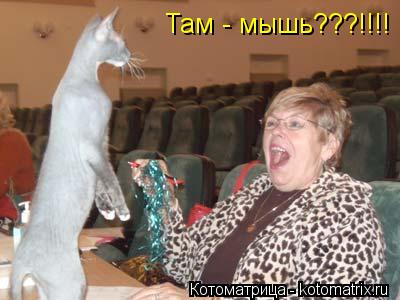 Там - мышь???!!!!... Котоматрица: Там - мышь???!!!!