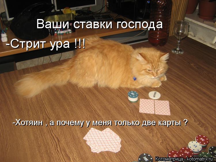 Ваши ставки господа -Стрит ура !!! -Хотяин , а почему у меня только две карты ?... Котоматрица: Ваши ставки господа -Стрит ура !!! -Хотяин , а почему у меня только две карты ?