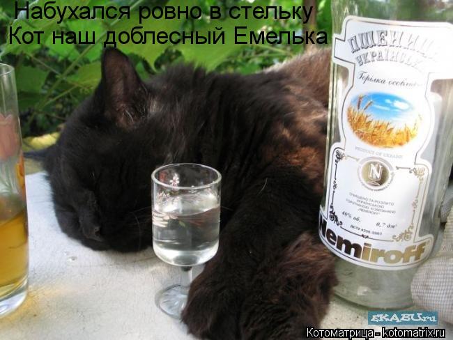 Набухался ровно в стельку Кот наш доблесный Емелька... Котоматрица: Набухался ровно в стельку Кот наш доблесный Емелька