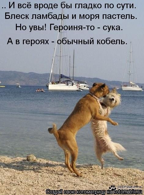 .. И всё вроде бы гладко по сути. Блеск ламбады и моря пастель. Но увы! Героиня-то - сука. А в героях... Котоматрица: .. И всё вроде бы гладко по сути. Блеск ламбады и моря пастель. Но увы! Героиня-то - сука. А в героях - обычный кобель.