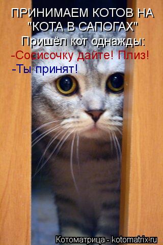 ПРИНИМАЕМ КОТОВ НА "КОТА В САПОГАХ" Пришёл кот однажды: -Сосисочку дайте! Плиз! -Ты принят!... Котоматрица: ПРИНИМАЕМ КОТОВ НА "КОТА В САПОГАХ" Пришёл кот однажды: -Сосисочку дайте! Плиз! -Ты принят!