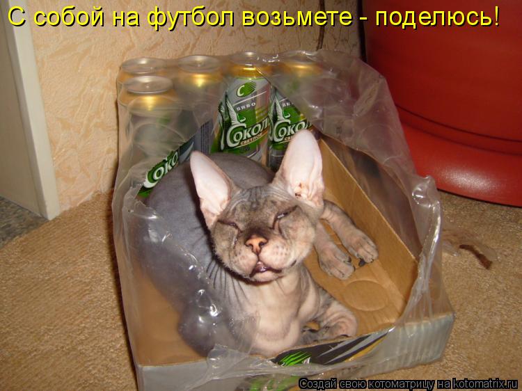 С собой на футбол возьмете - поделюсь!... Котоматрица: С собой на футбол возьмете - поделюсь!