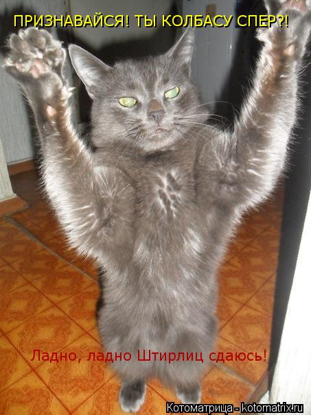 ПРИЗНАВАЙСЯ! ТЫ КОЛБАСУ СПЕР?! Ладно, ладно Штирлиц сдаюсь!... Котоматрица: ПРИЗНАВАЙСЯ! ТЫ КОЛБАСУ СПЕР?! Ладно, ладно Штирлиц сдаюсь!