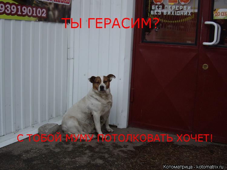 ТЫ ГЕРАСИМ? С ТОБОЙ МУМУ ПОТОЛКОВАТЬ ХОЧЕТ!... Котоматрица: ТЫ ГЕРАСИМ? С ТОБОЙ МУМУ ПОТОЛКОВАТЬ ХОЧЕТ!