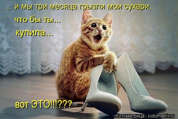 ... и мы три месяца грызли мои сухари, купила... вот ЭТО!!!??? что бы ты...... Котоматрица: ... и мы три месяца грызли мои сухари, купила... вот ЭТО!!!??? что бы ты...