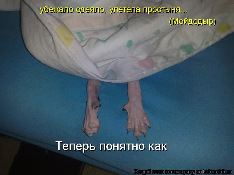 убежало одеяло, улетела простыня... (Мойдодыр) Теперь понятно как... Котоматрица: убежало одеяло, улетела простыня... (Мойдодыр) Теперь понятно как