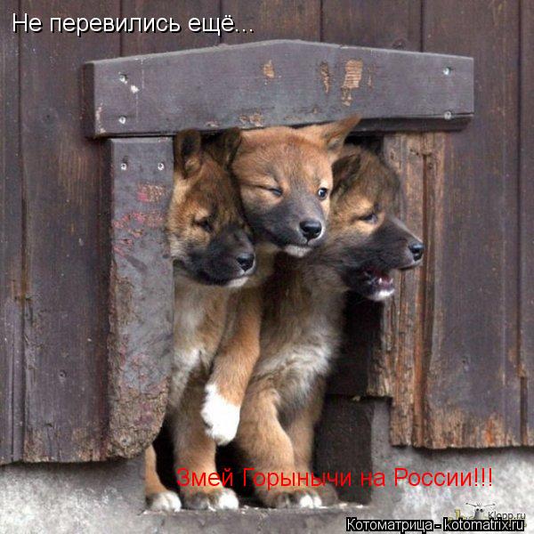 Не перевились ещё... Змей Горынычи на России!!!... Котоматрица: Не перевились ещё... Змей Горынычи на России!!!