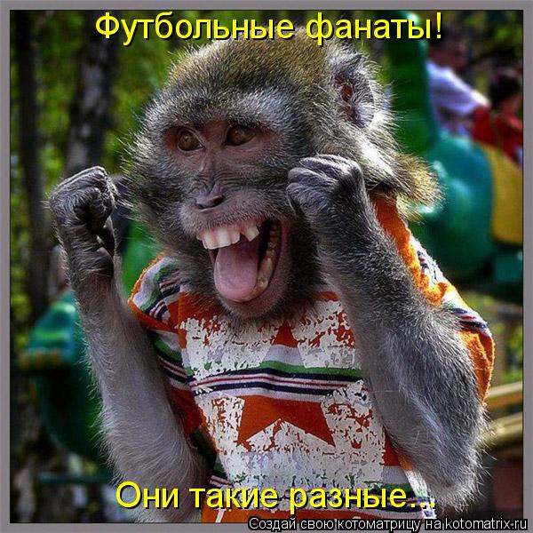 Футбольные фанаты! Они такие разные...... Котоматрица: Футбольные фанаты! Они такие разные...