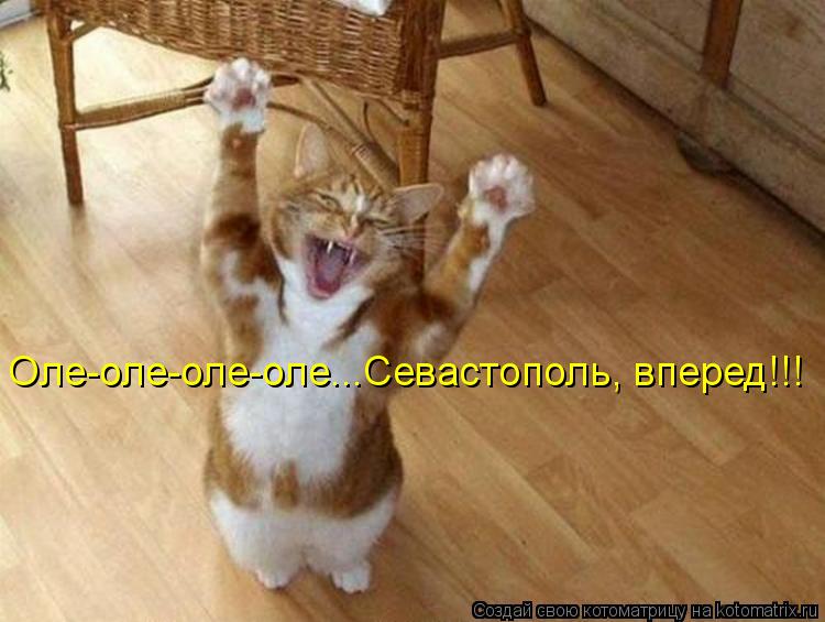 Оле-оле-оле-оле...Севастополь, вперед!!!... Котоматрица: Оле-оле-оле-оле...Севастополь, вперед!!!