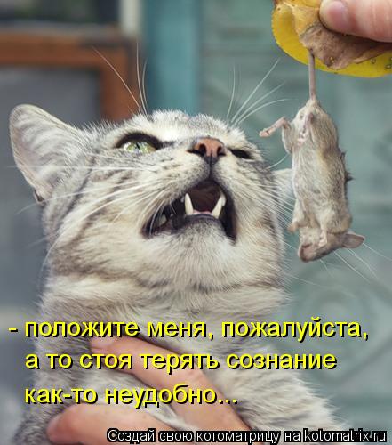 - положите меня, пожалуйста, а то стоя терять сознание как-то неудобно...... Котоматрица: - положите меня, пожалуйста, а то стоя терять сознание как-то неудобно...