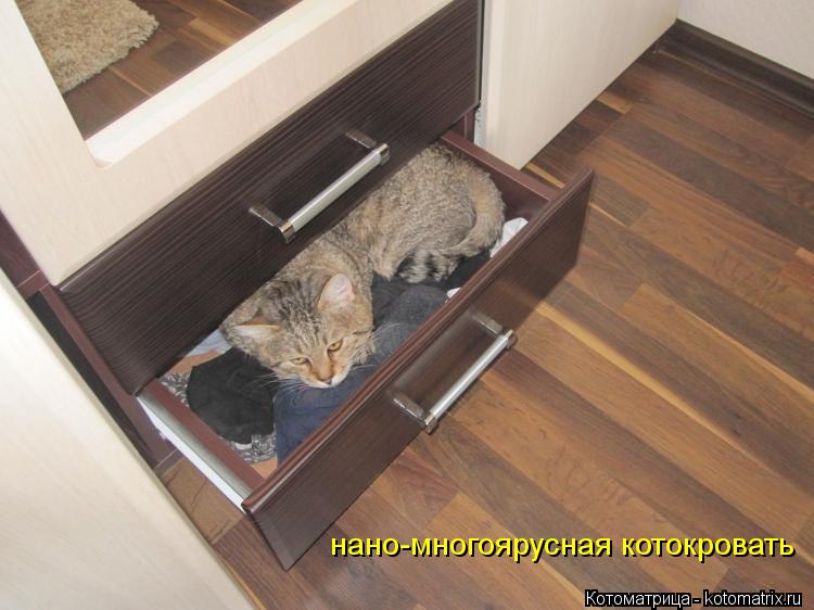 нано-многоярусная котокровать... Котоматрица: нано-многоярусная котокровать