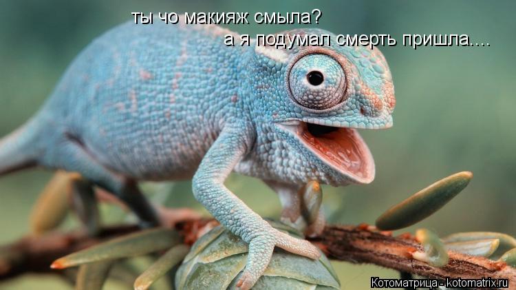 ты чо макияж смыла? а я подумал смерть пришла....... Котоматрица: ты чо макияж смыла? а я подумал смерть пришла....