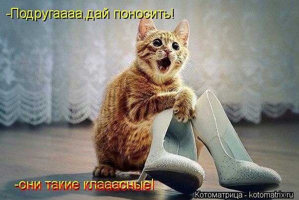 -Подругаааа,дай поносить! -они такие клааасные! -они такие клааасные!... Котоматрица: -Подругаааа,дай поносить! -они такие клааасные! -они такие клааасные!