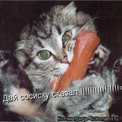 Дай сосиску сказал !!!!!!!!!!!!!!!!=O А то сожру!!!!!!!!!... Котоматрица: Дай сосиску сказал !!!!!!!!!!!!!!!!=O А то сожру!!!!!!!!!