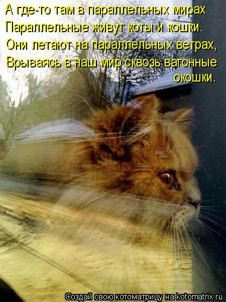 А где-то там в параллельных мирах Параллельные живут коты и кошки. Они летают на параллельных ветрах,... Котоматрица: А где-то там в параллельных мирах Параллельные живут коты и кошки. Они летают на параллельных ветрах, Врываясь в наш мир сквозь вагонные око