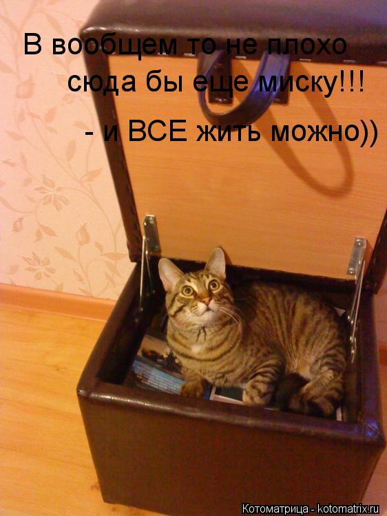 В вообщем то не плохо сюда бы еще миску!!! - и ВСЕ жить можно))... Котоматрица: В вообщем то не плохо сюда бы еще миску!!! - и ВСЕ жить можно))