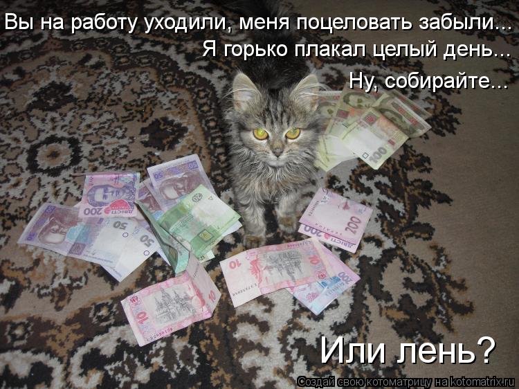 Котоматрица: Вы на работу уходили, меня поцеловать забыли...  Я горько плакал целый день... Ну, собирайте... Или лень?