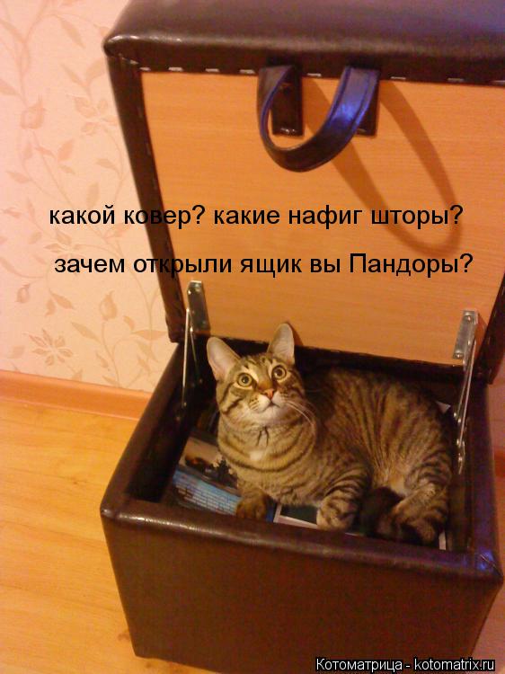 какой ковер? какие нафиг шторы? зачем открыли ящик вы Пандоры?... Котоматрица: какой ковер? какие нафиг шторы? зачем открыли ящик вы Пандоры?