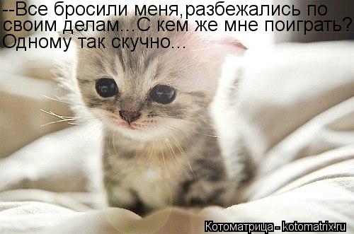 --Все бросили меня,разбежались по своим делам...С кем же мне поиграть? Одному так скучно...... Котоматрица: --Все бросили меня,разбежались по своим делам...С кем же мне поиграть? Одному так скучно...