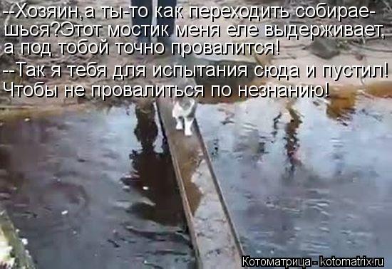 --Хозяин,а ты-то как переходить собирае- шься?Этот мостик меня еле выдерживает, а под тобой точно про... Котоматрица: --Хозяин,а ты-то как переходить собирае- шься?Этот мостик меня еле выдерживает, а под тобой точно провалится! --Так я тебя для испытания сюда и