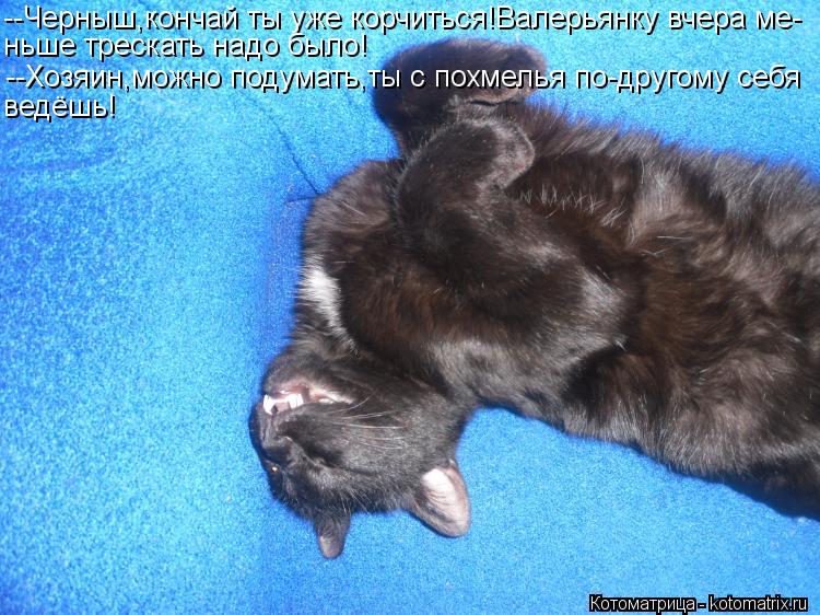 --Черныш,кончай ты уже корчиться!Валерьянку вчера ме- ньше трескать надо было! --Хозяин,можно подумат... Котоматрица: --Черныш,кончай ты уже корчиться!Валерьянку вчера ме- ньше трескать надо было! --Хозяин,можно подумать,ты с похмелья по-другому себя ведёшь!
