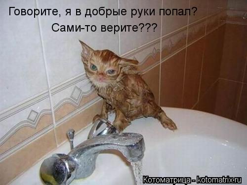 Говорите, я в добрые руки попал? Сами-то верите???... Котоматрица: Говорите, я в добрые руки попал? Сами-то верите???