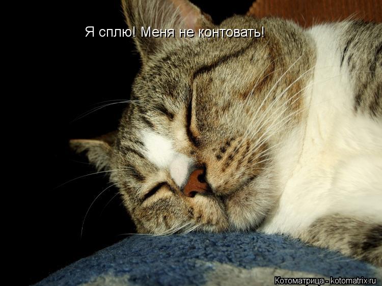 Котоматрица: Я сплю! Меня не контовать!