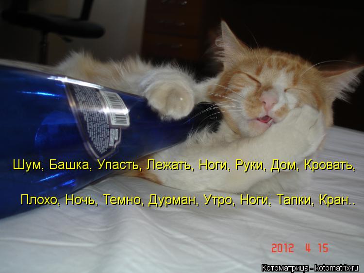 Котоматрица: Шум, Башка, Упасть, Лежать, Ноги, Руки, Дом, Кровать,  Плохо, Ночь, Темно, Дурман, Утро, Ноги, Тапки, Кран..