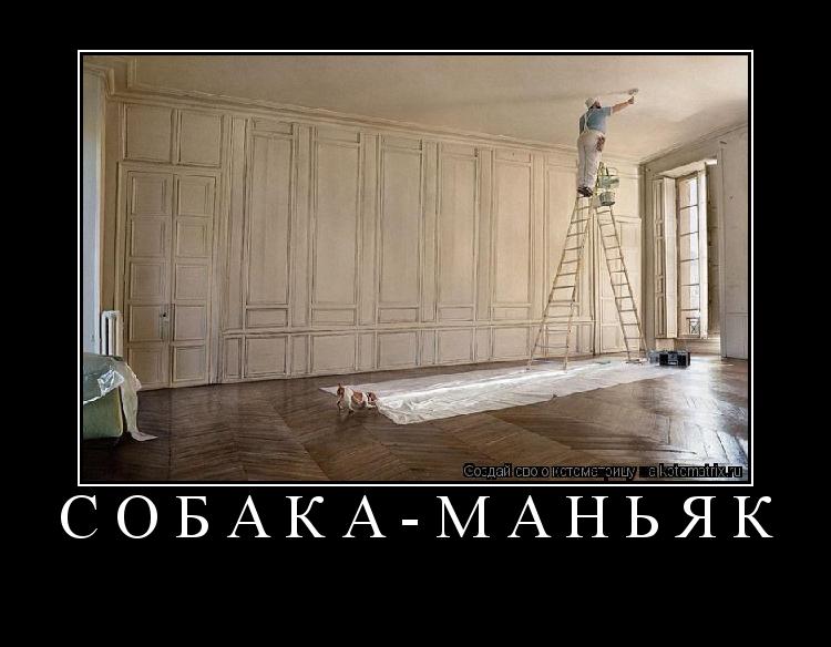 собака-маньяк ... Котоматрица: собака-маньяк