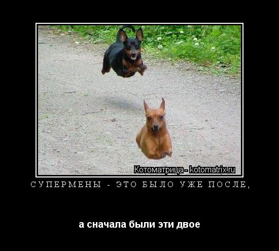 Котоматрица: супермены - это было уже после, а сначала были эти двое
