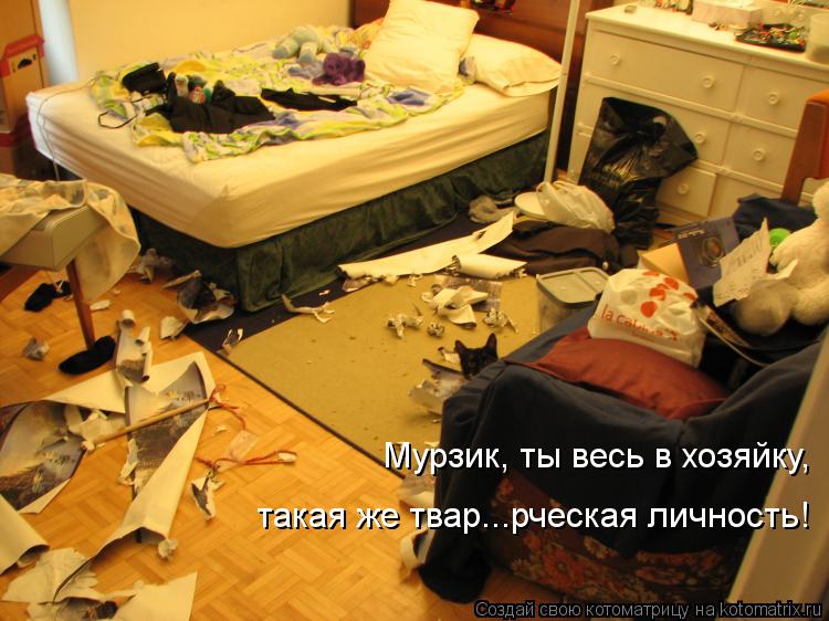 Котоматрица: Мурзик, ты весь в хозяйку, такая же твар...рческая личность!