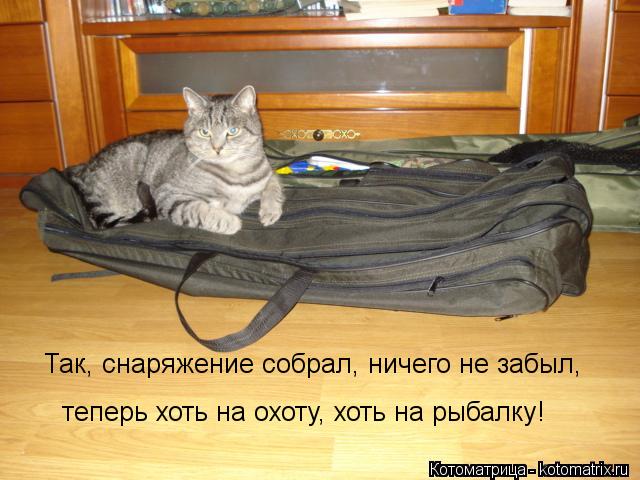 Котоматрица: Так, снаряжение собрал, ничего не забыл, теперь хоть на охоту, хоть на рыбалку!