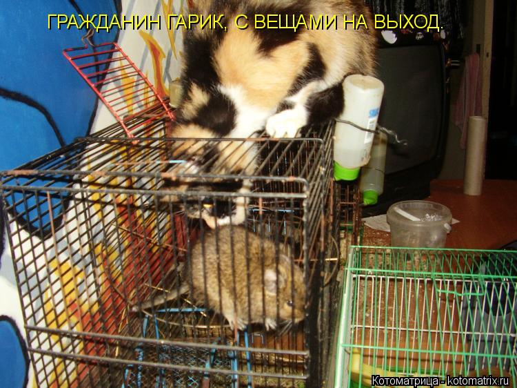 Котоматрица: ГРАЖДАНИН ГАРИК, С ВЕЩАМИ НА ВЫХОД.