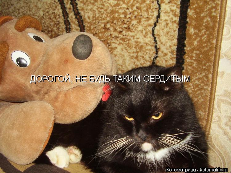 Котоматрица: ДОРОГОЙ, НЕ БУДЬ ТАКИМ СЕРДИТЫМ
