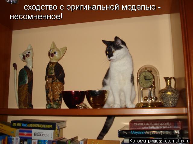 Котоматрица: сходство с оригинальной моделью - несомненное!