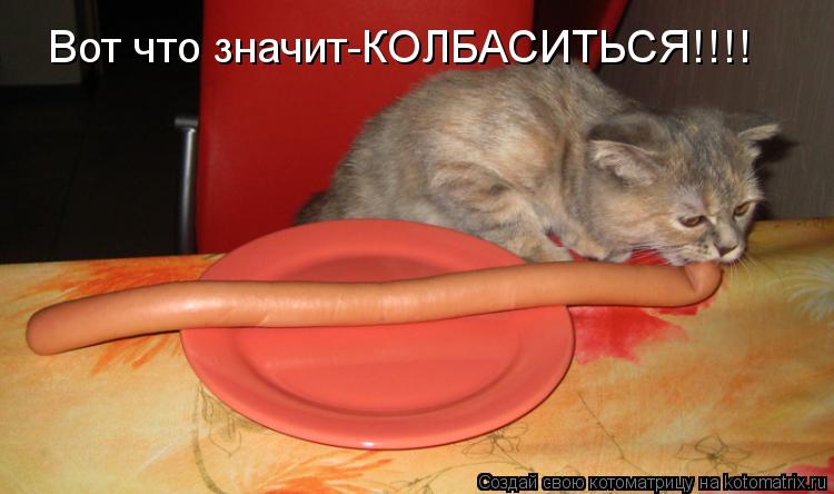 Котоматрица: Вот что значит-КОЛБАСИТЬСЯ!!!!