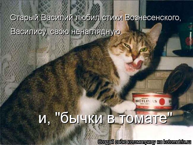 Котоматрица: Старый Василий любил стихи Вознесенского, Василису, свою ненаглядную, и, "бычки в томате"