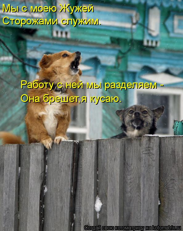 Котоматрица: Мы с моею Жужей Работу с ней мы разделяем -  Она брешет,я кусаю. Сторожами служим.