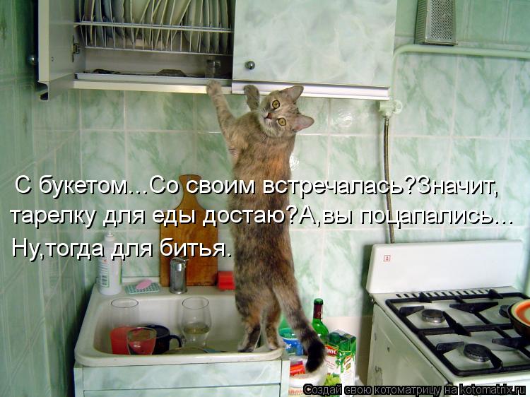 С букетом...Со своим встречалась?Значит, тарелку для еды достаю?А,вы поцапались... Ну,тогда для битья... Котоматрица: С букетом...Со своим встречалась?Значит, тарелку для еды достаю?А,вы поцапались... Ну,тогда для битья.