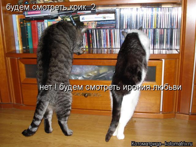 Котоматрица: будем смотреть крик  2 нет ! будем смотреть ирония любьви