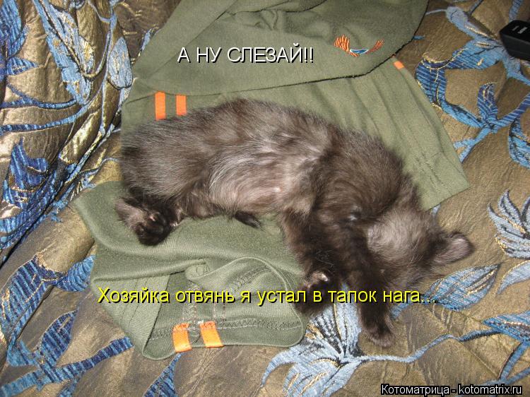 Котоматрица: А НУ СЛЕЗАЙ!! Хозяйка отвянь я устал в тапок нага...