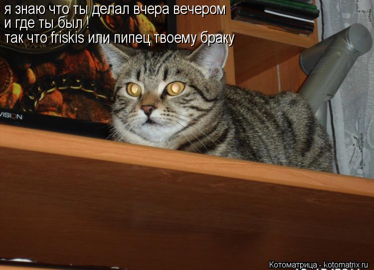 Котоматрица: я знаю что ты делал вчера вечером и где ты был ! так что friskis или пипец твоему браку