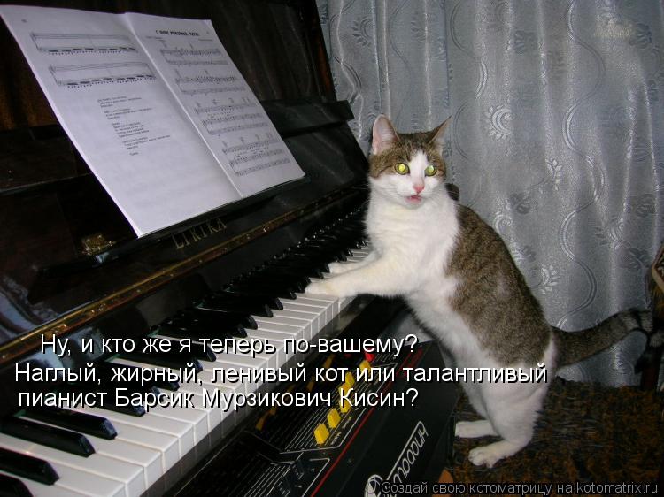 Котоматрица: Ну, и кто же я теперь по-вашему? Наглый, жирный, ленивый кот или талантливый пианист Барсик Мурзикович Кисин?