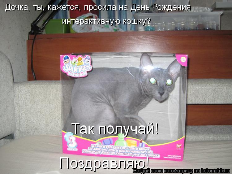 Котоматрица: интерактивную кошку? Так получай! Поздравляю! Дочка, ты, кажется, просила на День Рождения