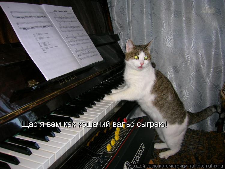 Котоматрица: Щас я вам как кошачий вальс сыграю!