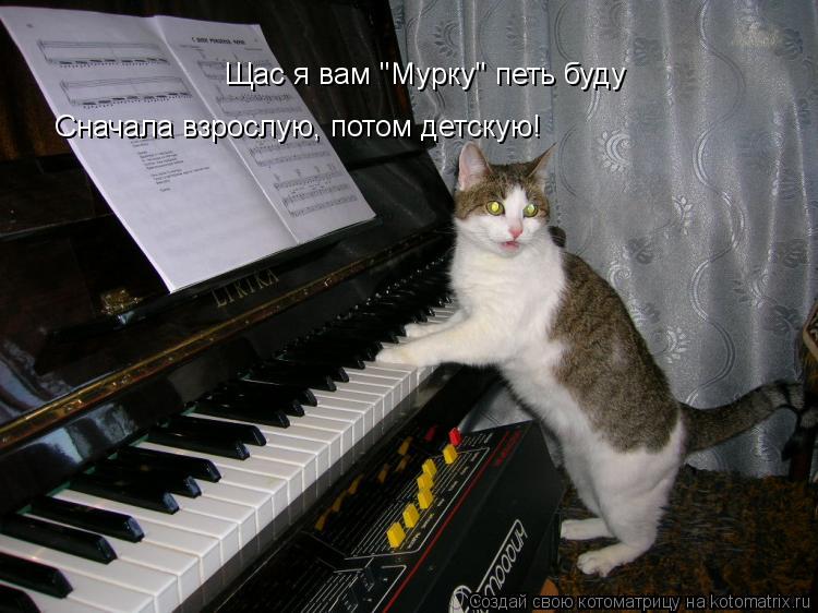 Котоматрица: Щас я вам "Мурку" петь буду Сначала взрослую, потом детскую!