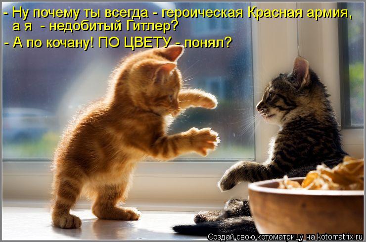 - Ну почему ты всегда - героическая Красная армия, а я - недобитый Гитлер? - А по кочану! ПО ЦВЕТУ -... Котоматрица: - Ну почему ты всегда - героическая Красная армия, а я - недобитый Гитлер? - А по кочану! ПО ЦВЕТУ - понял?