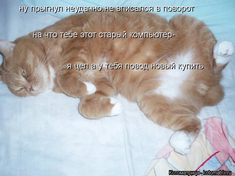 Котоматрица: ну прыгнул неудачно.не вписался в поворот на что тебе этот старый компьютер- я цел.а у тебя повод новый купить