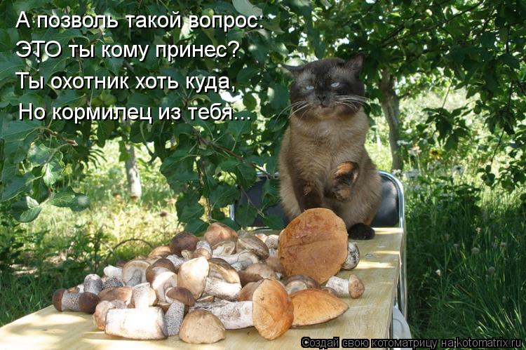 Котоматрица: А позволь такой вопрос: ЭТО ты кому принес? Ты охотник хоть куда, Но кормилец из тебя...