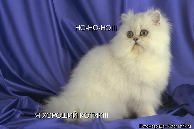 Котоматрица: НО-НО-НО!!! Я ХОРОШИЙ КОТИК!!!